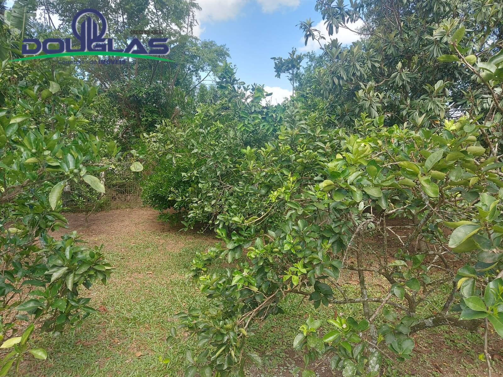 Casa, 2 quartos - Foto 27