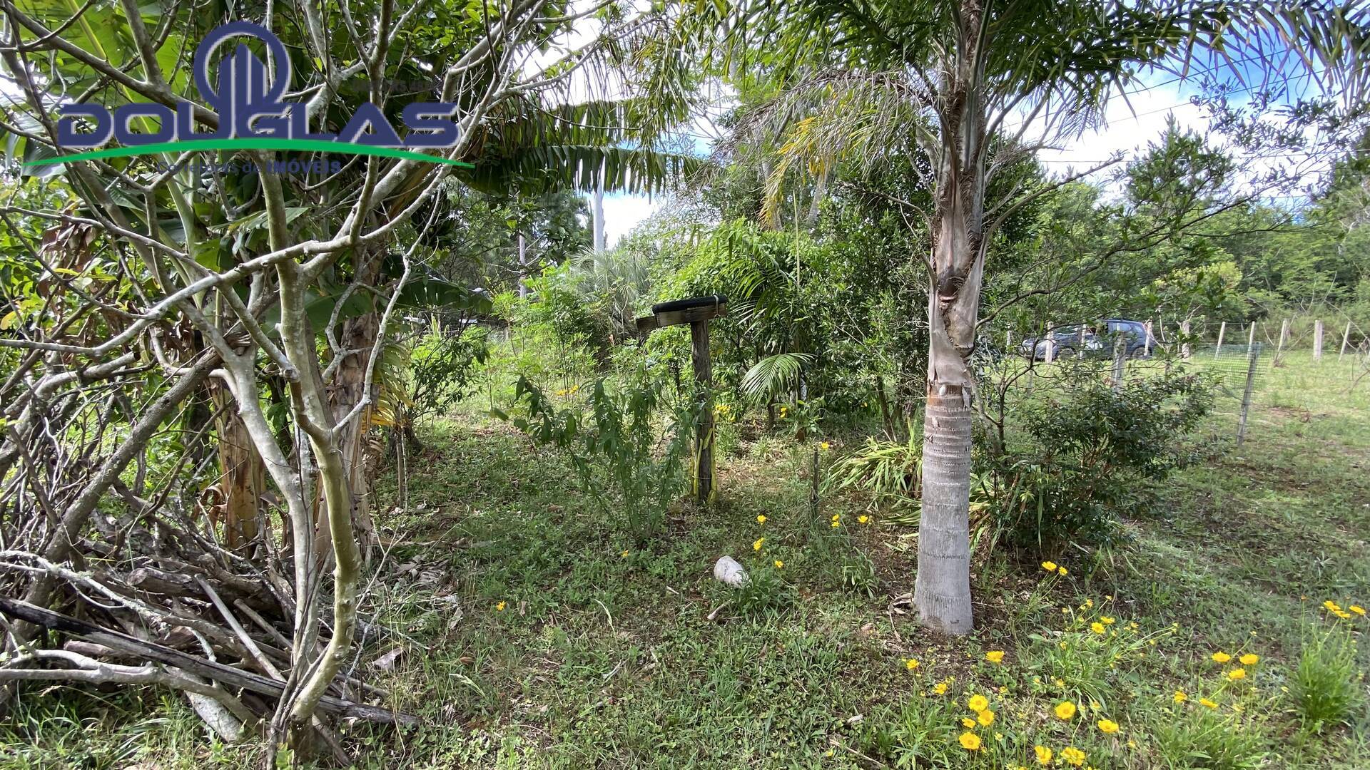 Terreno, 70 m² - Foto 14