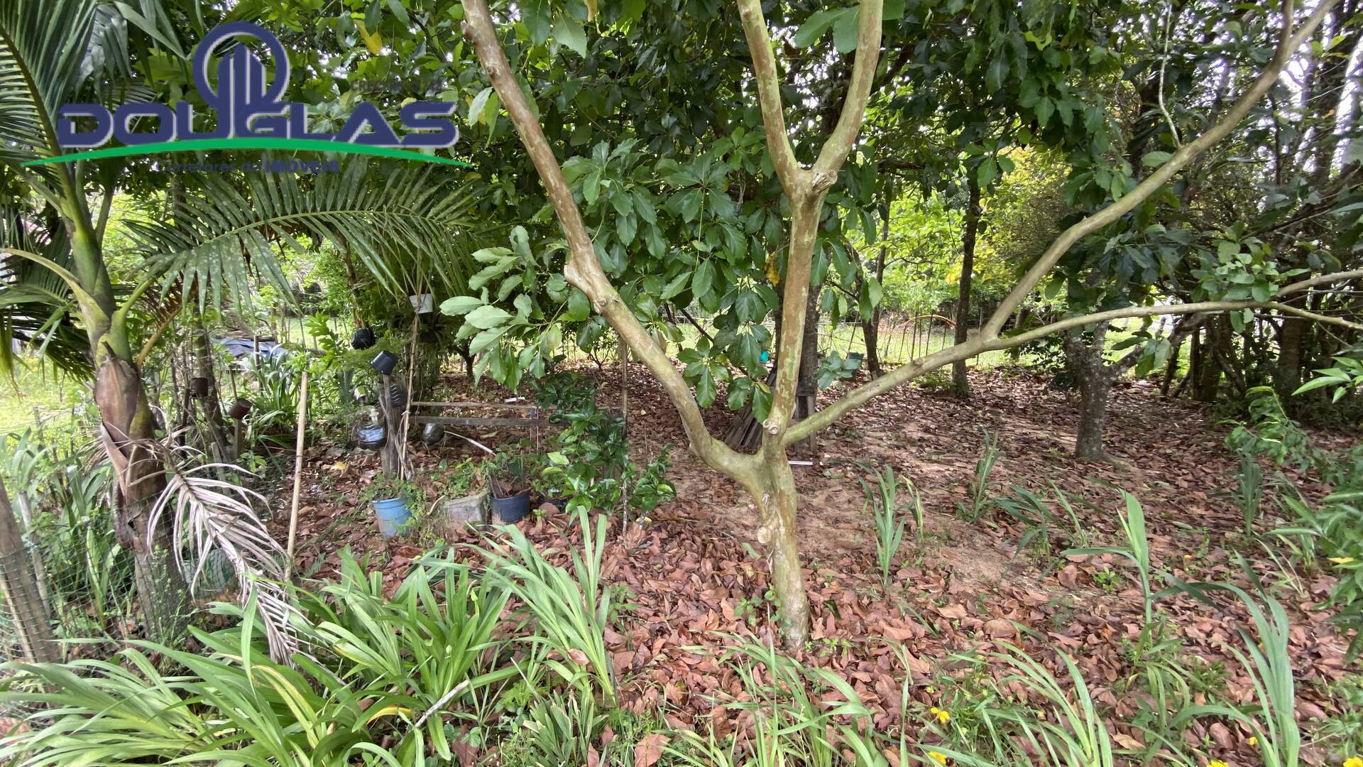 Terreno, 70 m² - Foto 19