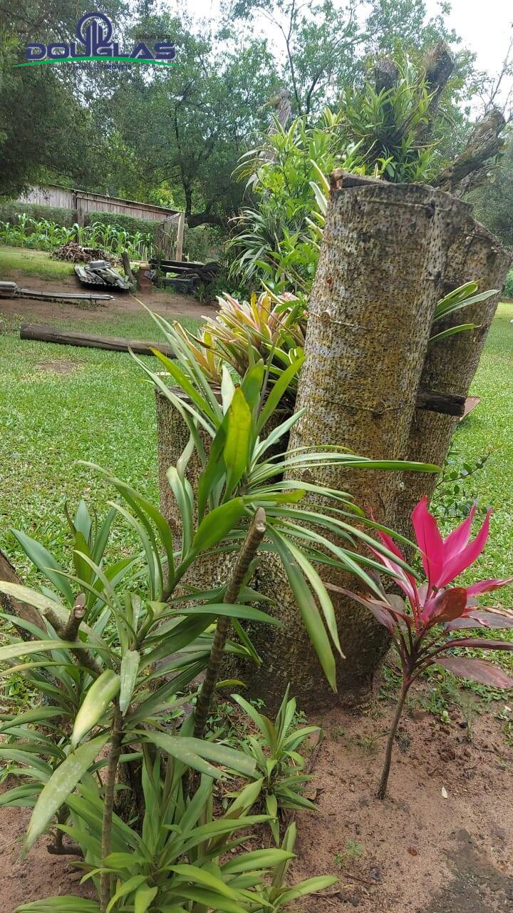 Casa, 1 quarto - Foto 6