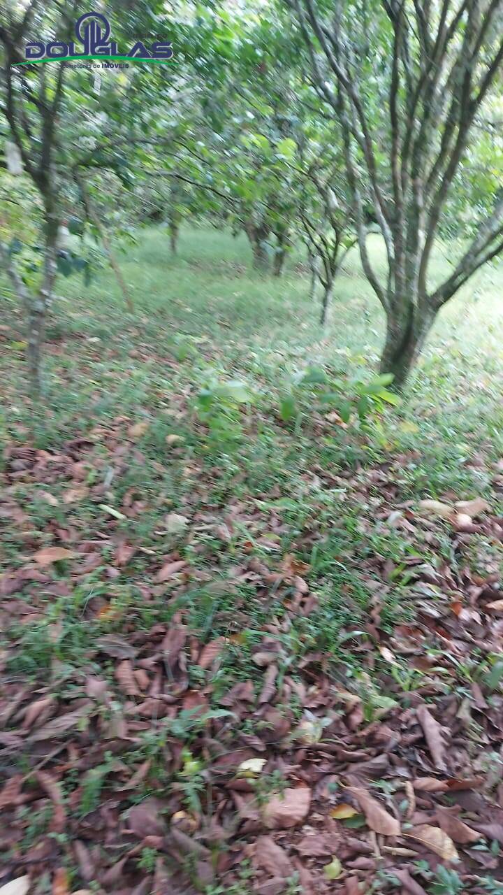 Casa, 1 quarto - Foto 8