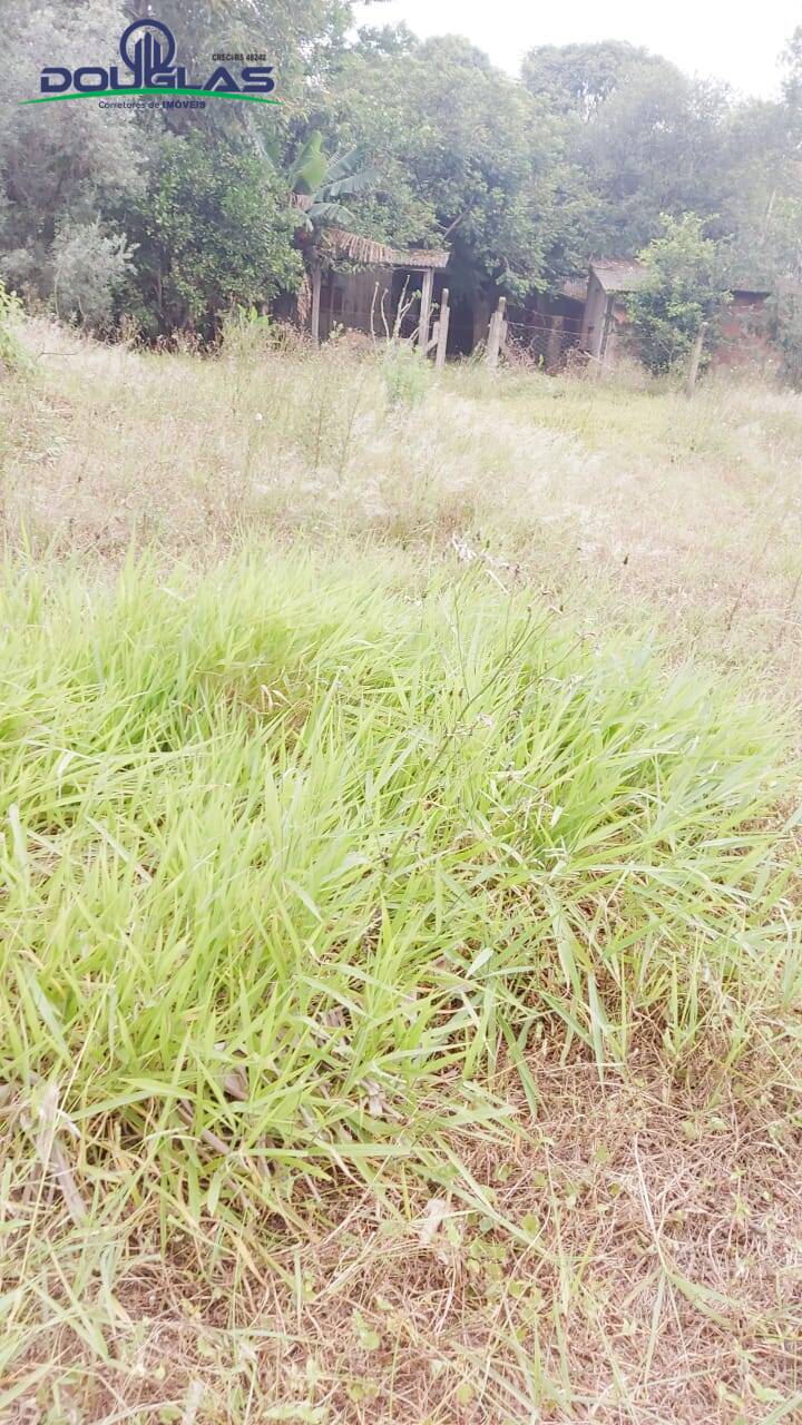 Terreno, 600 m² - Foto 3