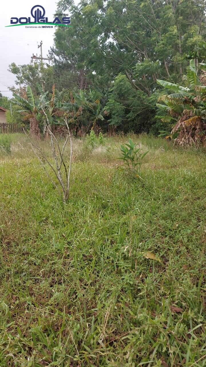 Terreno, 600 m² - Foto 6