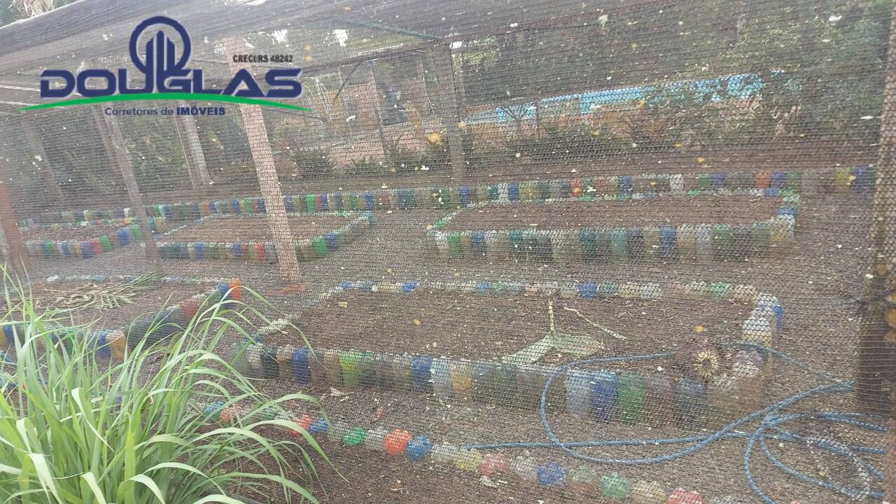 Chácara, 3 quartos, 8000 m² - Foto 6