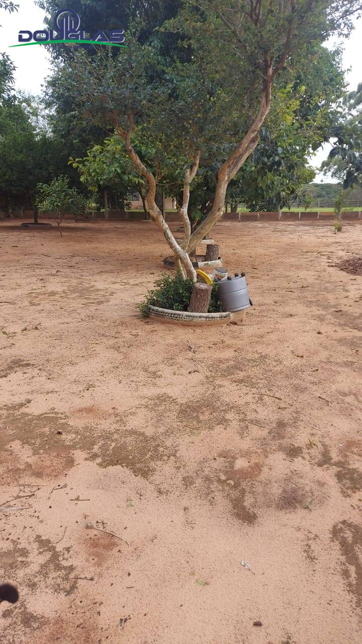 Chácara, 3 quartos, 8000 m² - Foto 7