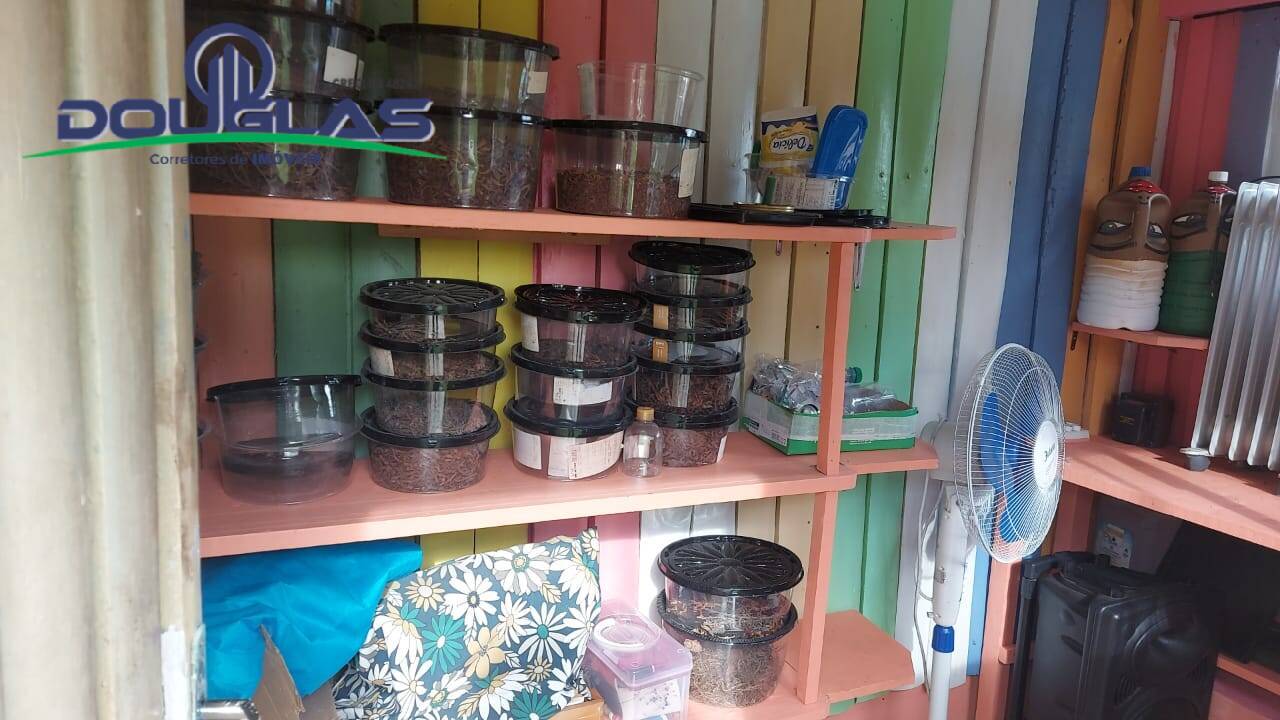 Chácara, 3 quartos, 8000 m² - Foto 18