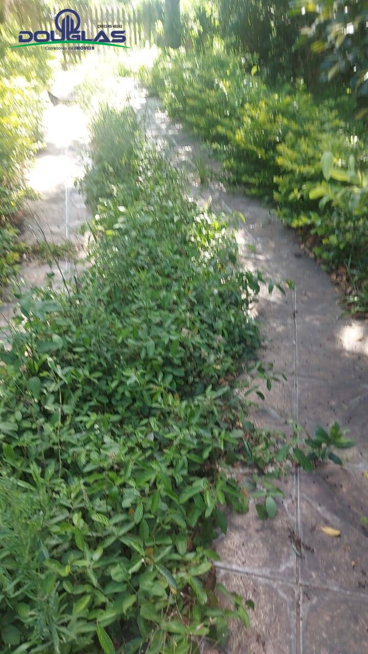 Casa, 3 quartos - Foto 23