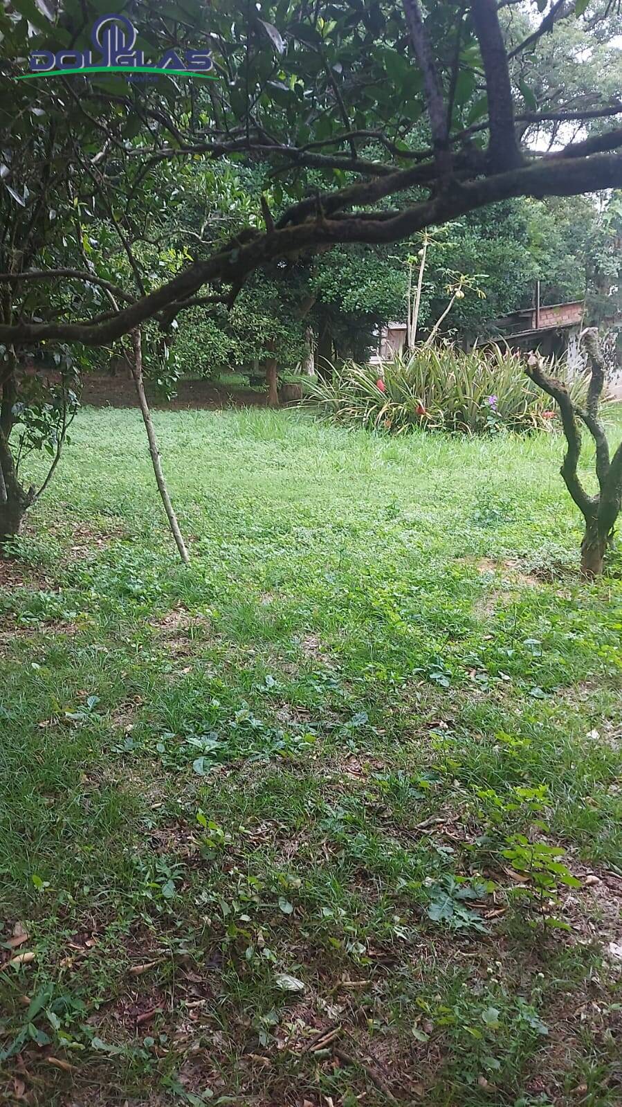 Casa, 2 quartos - Foto 11