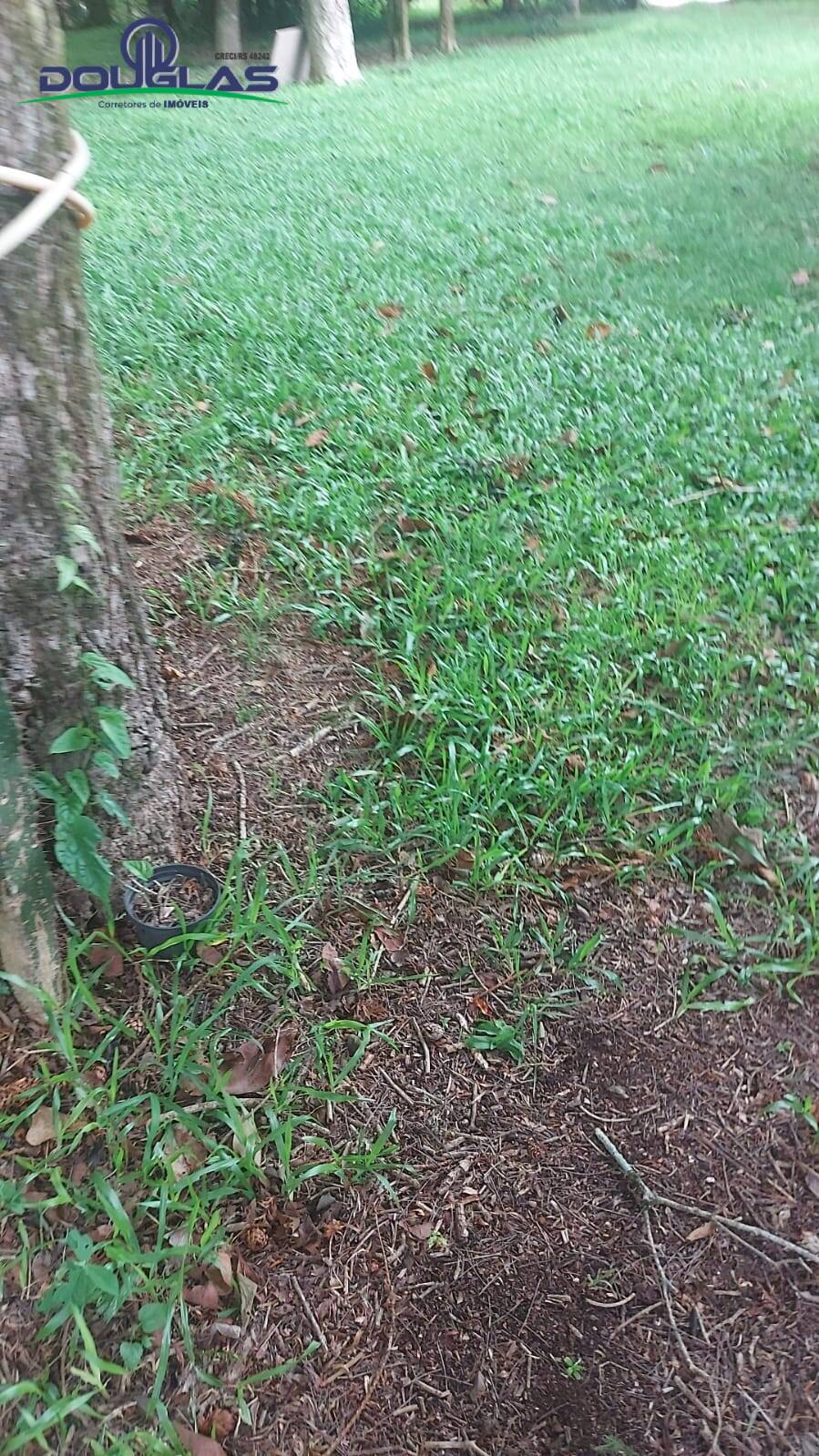 Casa, 2 quartos - Foto 14