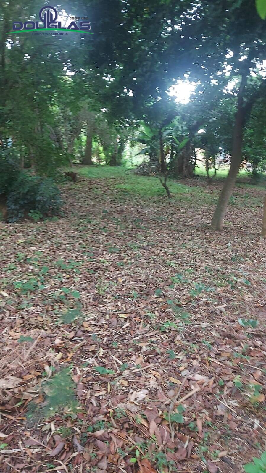 Casa, 2 quartos - Foto 15