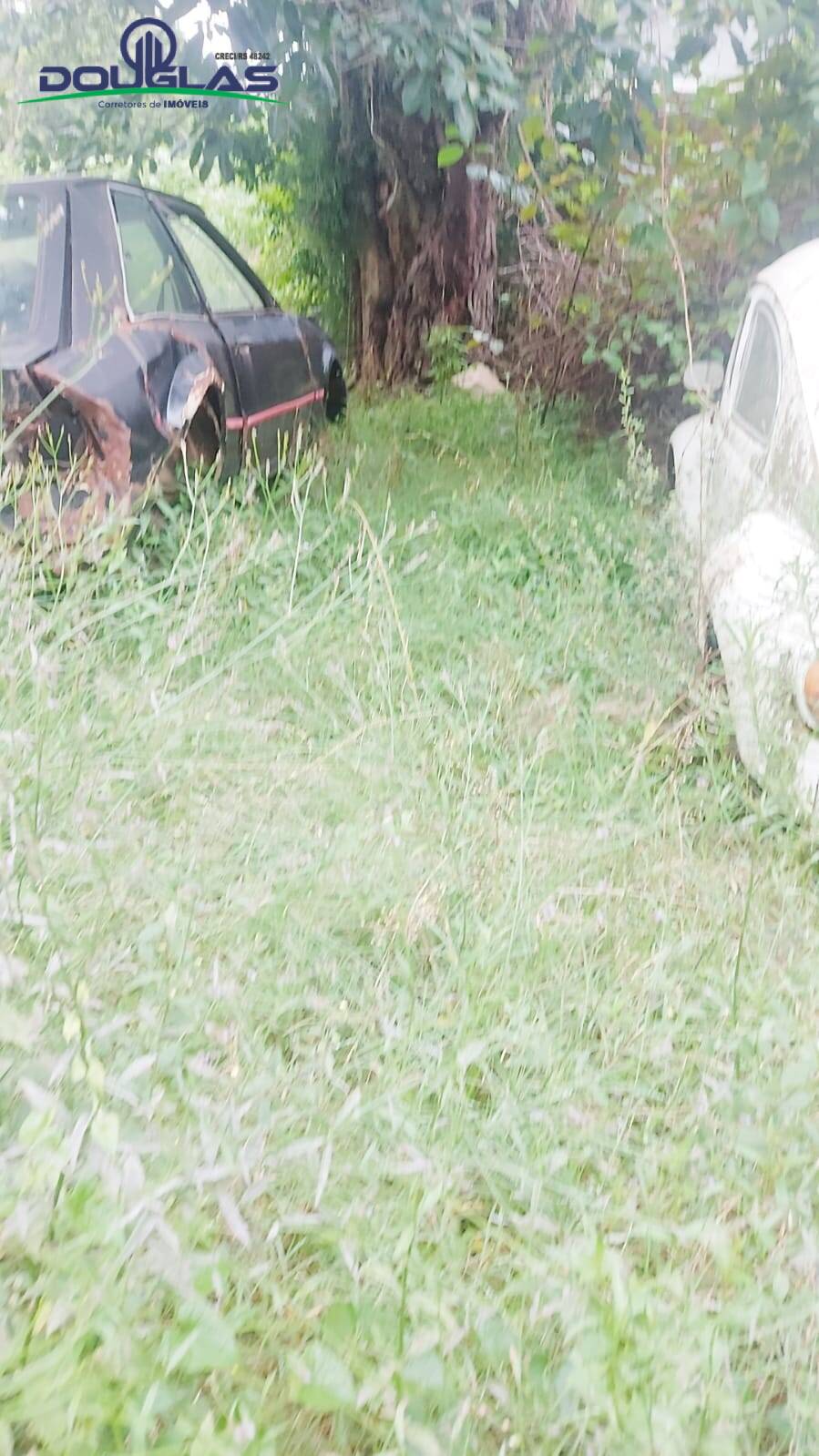 Terreno, 300 m² - Foto 5