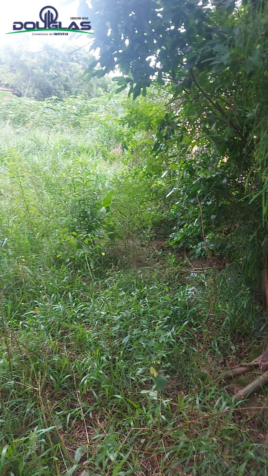 Terreno, 300 m² - Foto 6