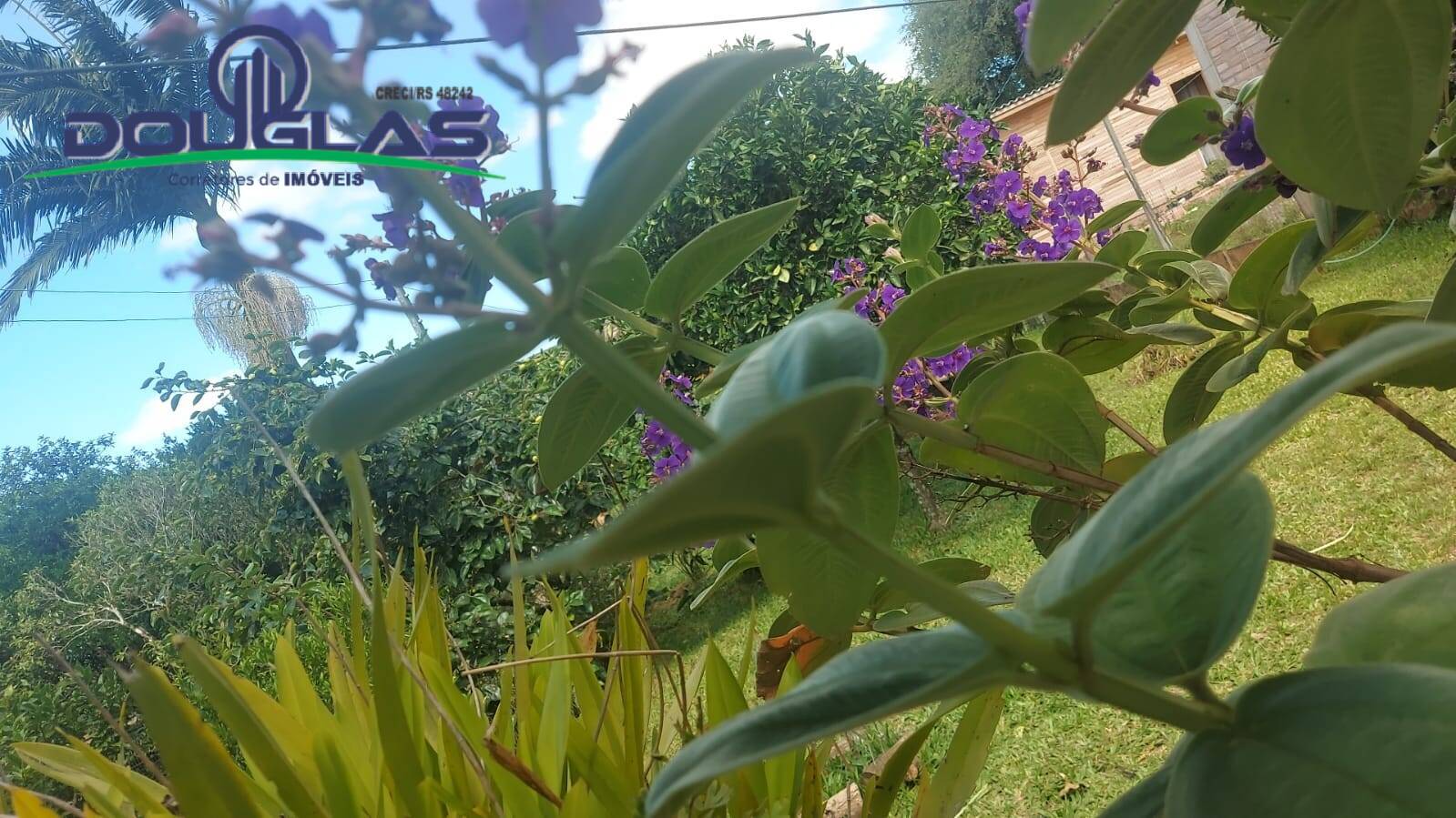 Casa, 2 quartos - Foto 25