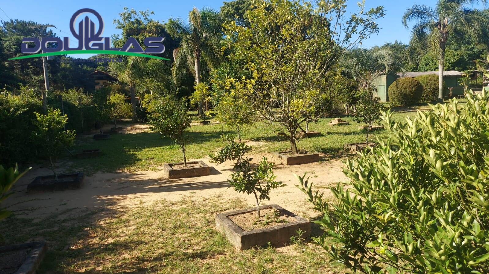 Casa, 3 quartos - Foto 22