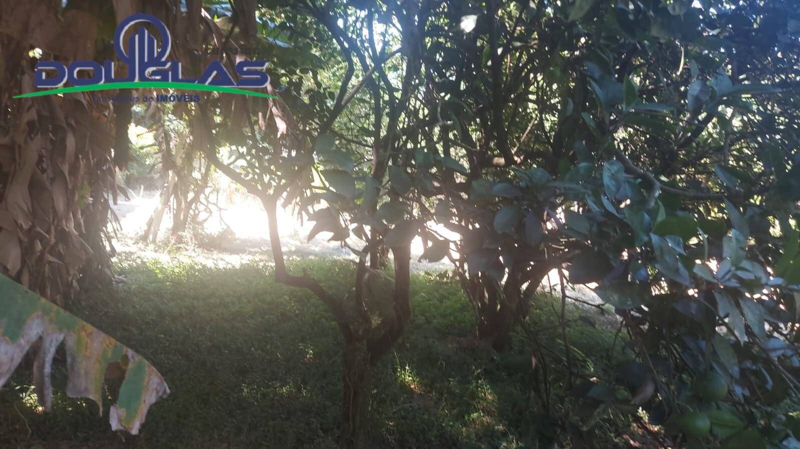 Casa, 2 quartos - Foto 20