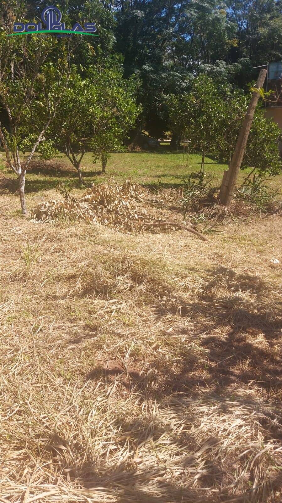 Casa, 2 quartos - Foto 23