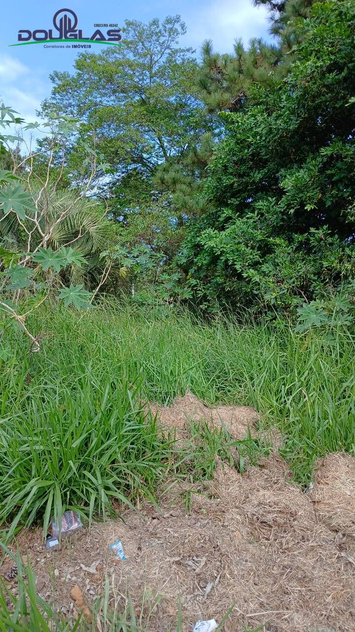 Terreno, 550 m² - Foto 3