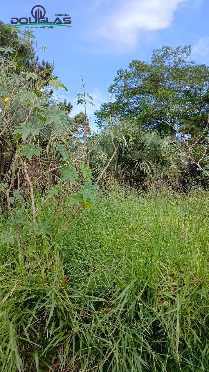 Terreno, 550 m² - Foto 3