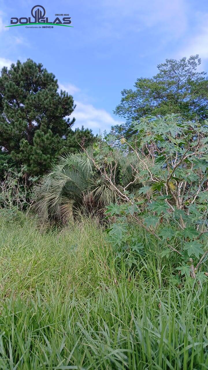 Terreno, 550 m² - Foto 7