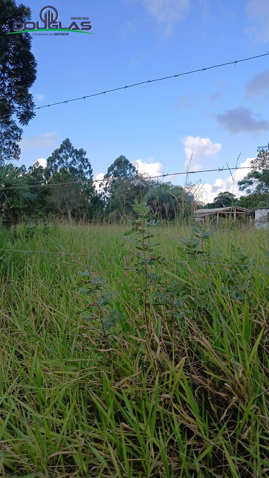 Terreno, 2200 m² - Foto 1