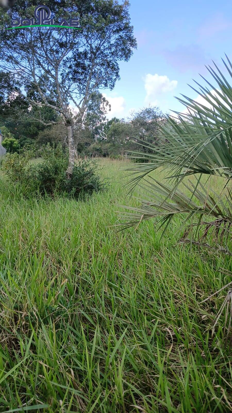 Terreno, 2200 m² - Foto 2