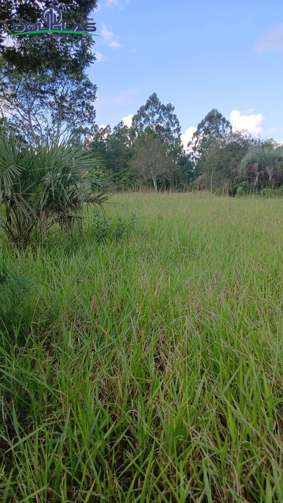 Terreno, 2200 m² - Foto 4