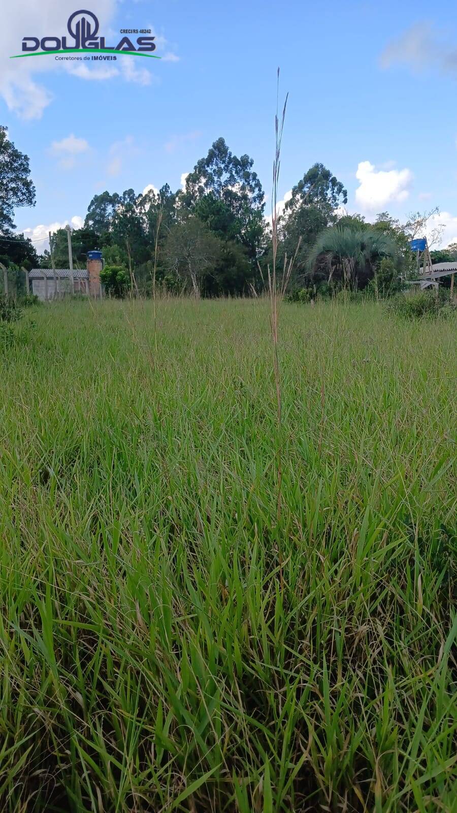 Terreno, 2200 m² - Foto 5