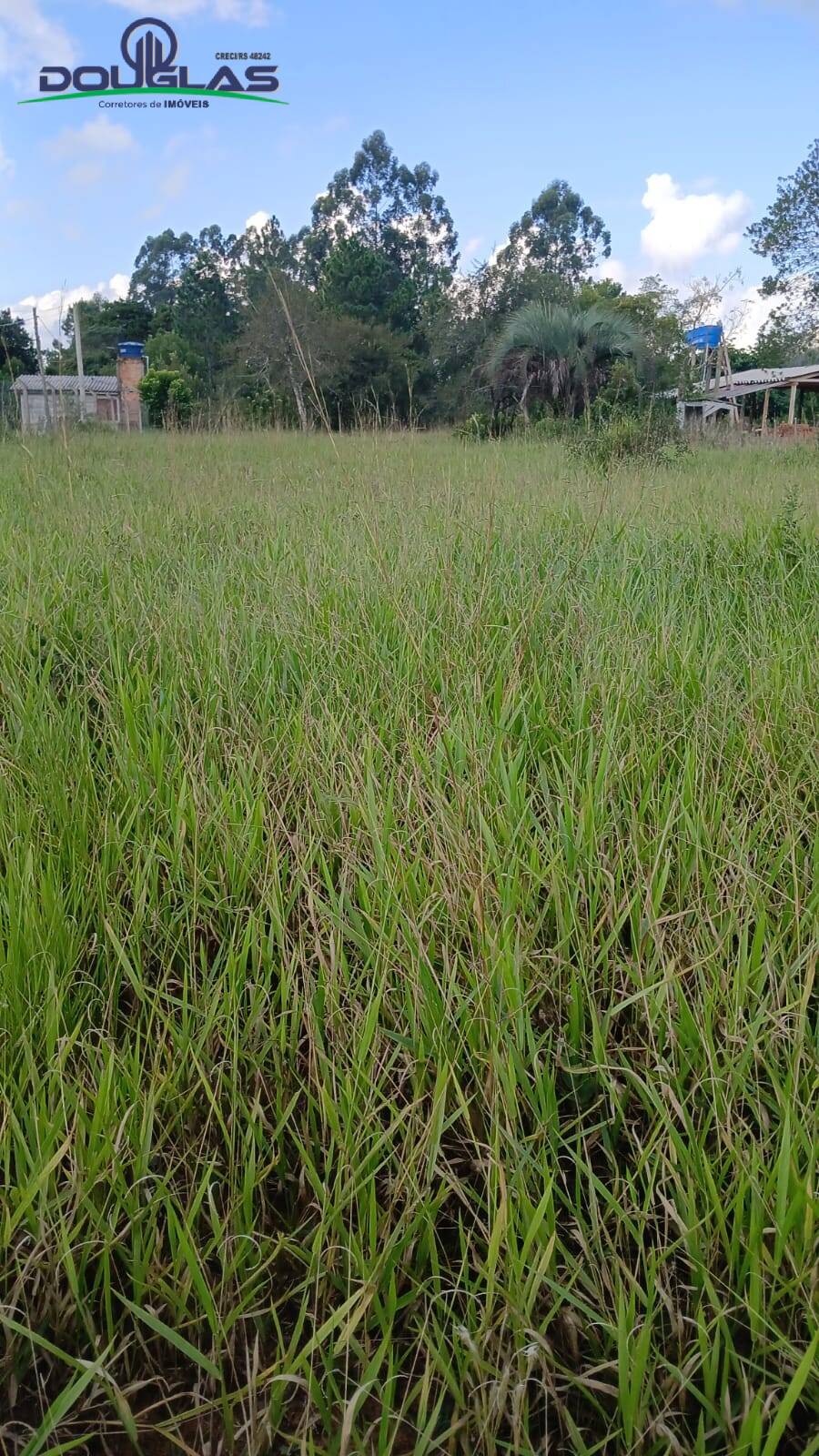 Terreno, 2200 m² - Foto 6