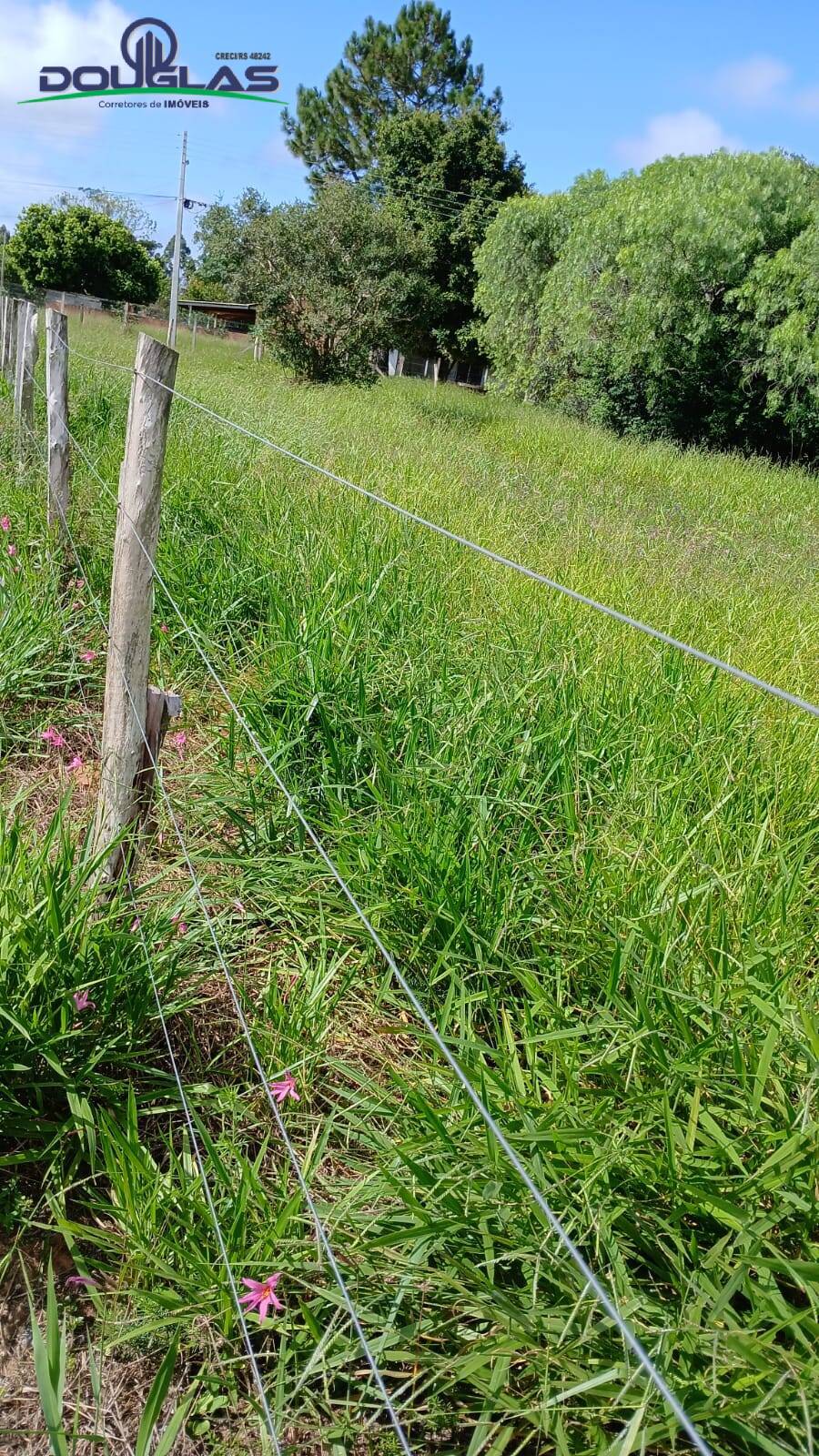 Terreno, 1550 m² - Foto 3