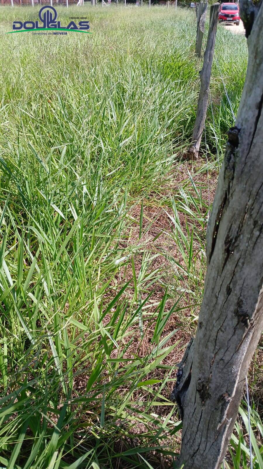 Terreno, 1550 m² - Foto 5