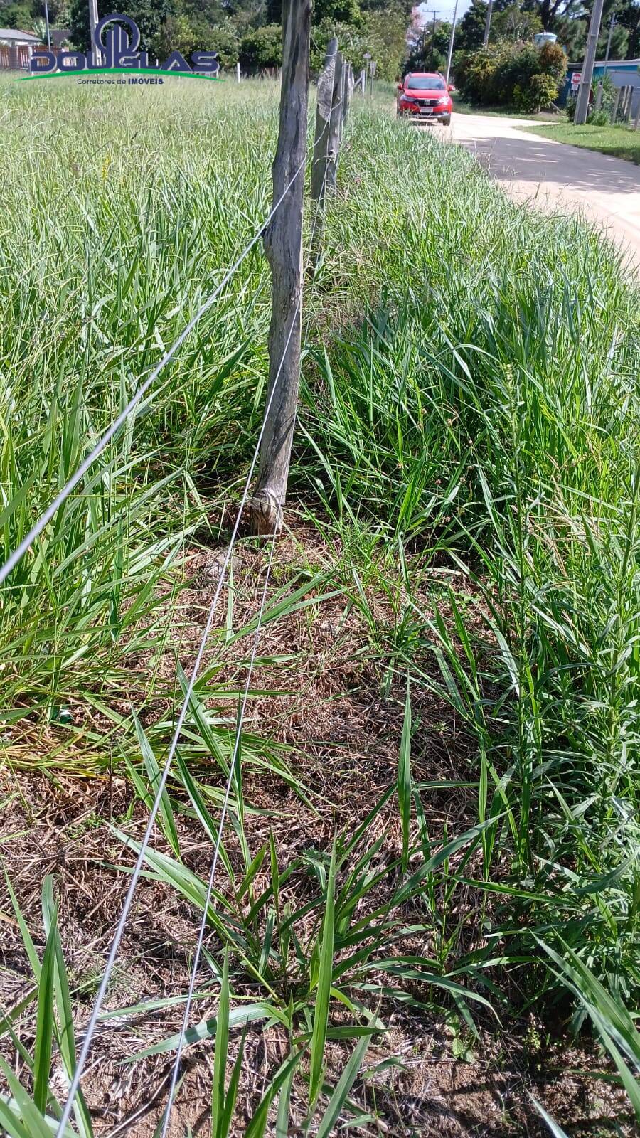 Terreno, 1550 m² - Foto 4