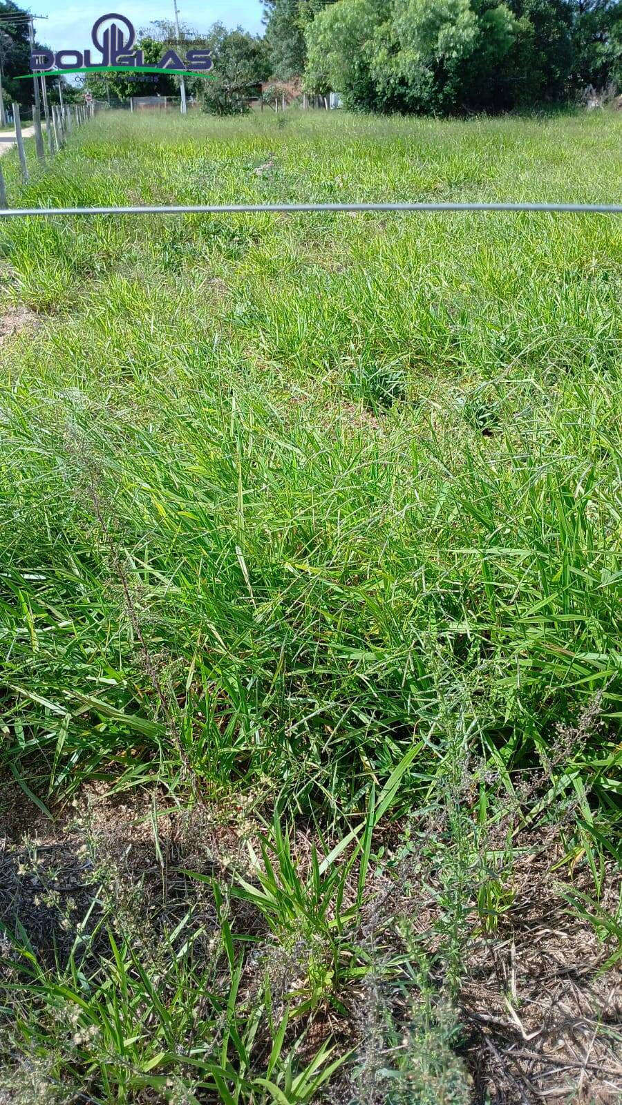 Terreno, 1550 m² - Foto 6