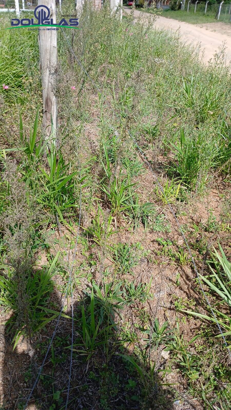 Terreno, 1550 m² - Foto 7