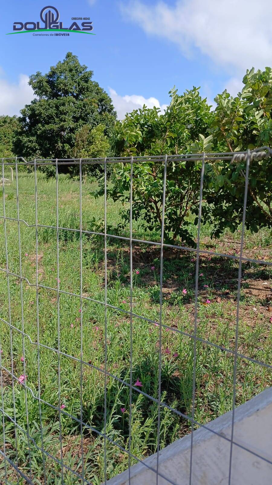 Terreno, 720 m² - Foto 1