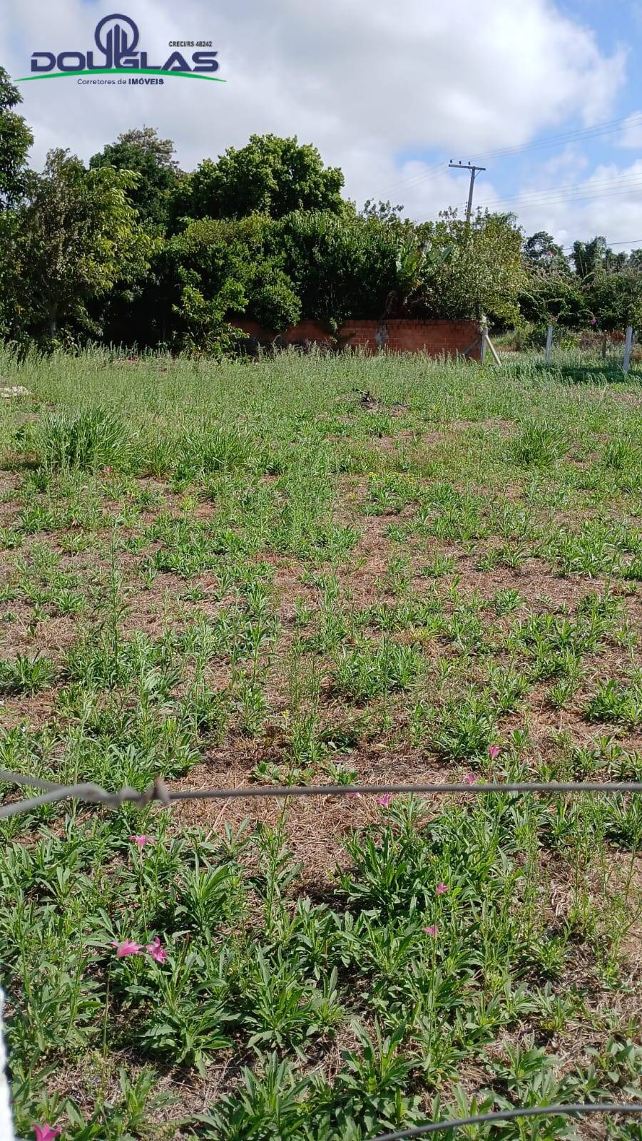 Terreno, 720 m² - Foto 3