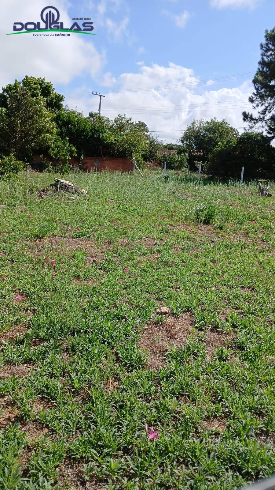 Terreno, 720 m² - Foto 4