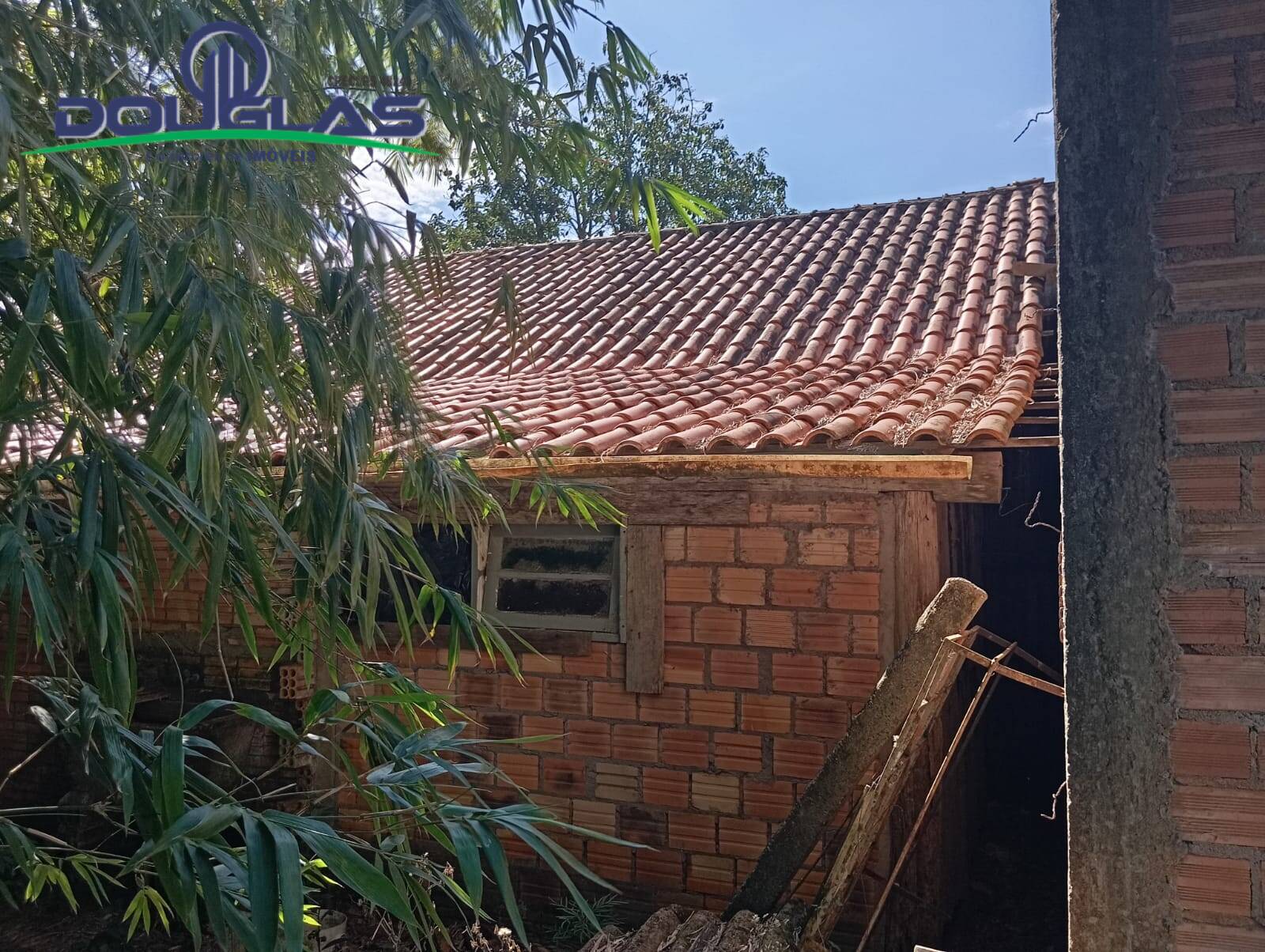 Terreno, 600 m² - Foto 12