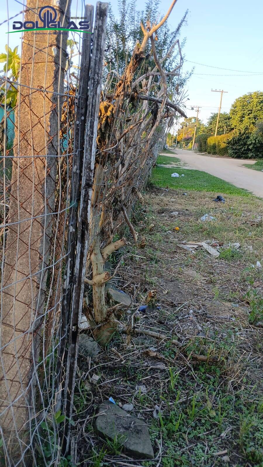 Terreno, 360 m² - Foto 7