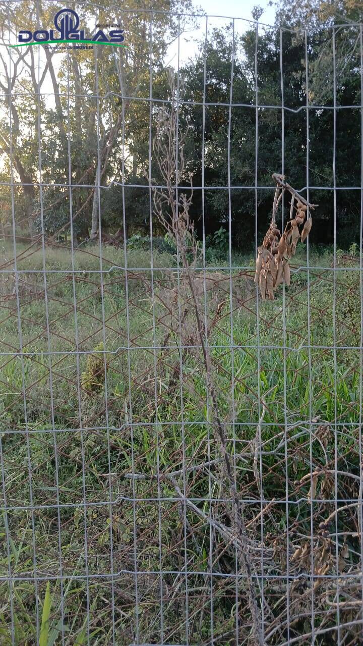 Terreno, 360 m² - Foto 6