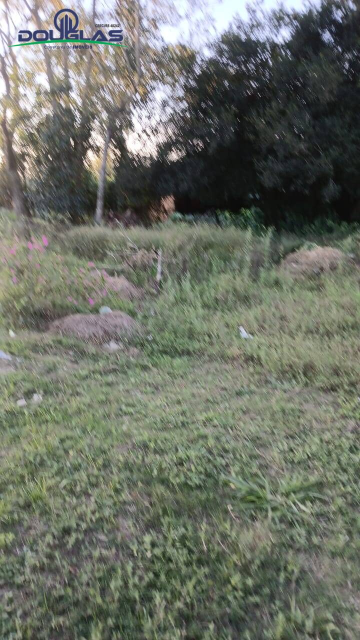 Terreno, 360 m² - Foto 4