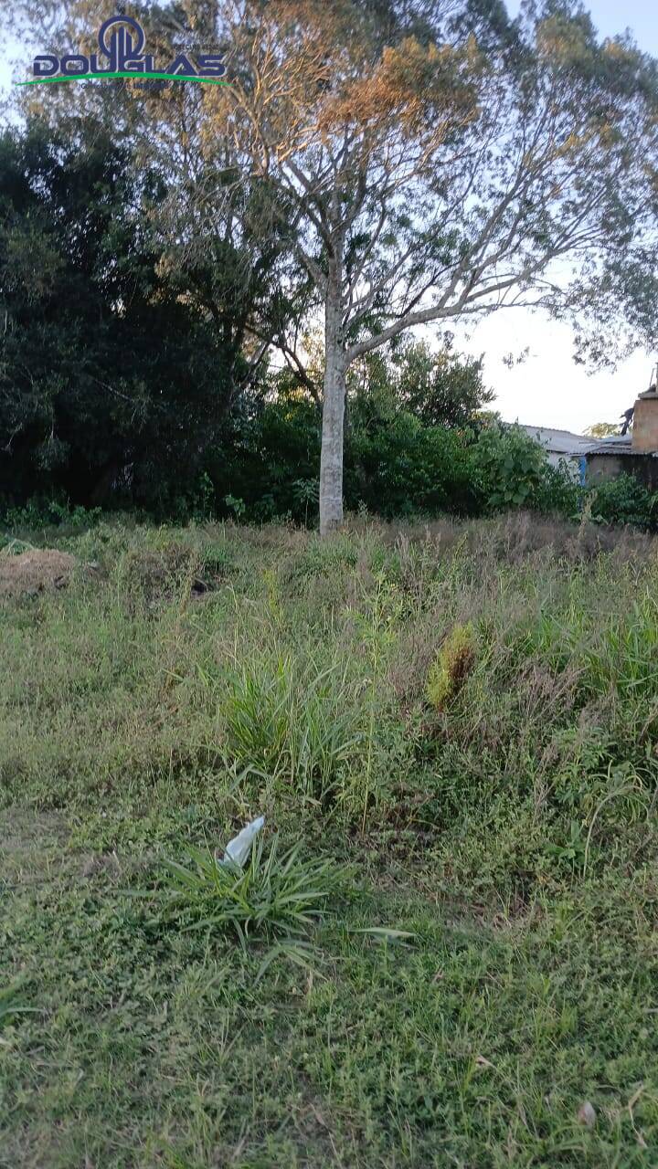 Terreno, 360 m² - Foto 5