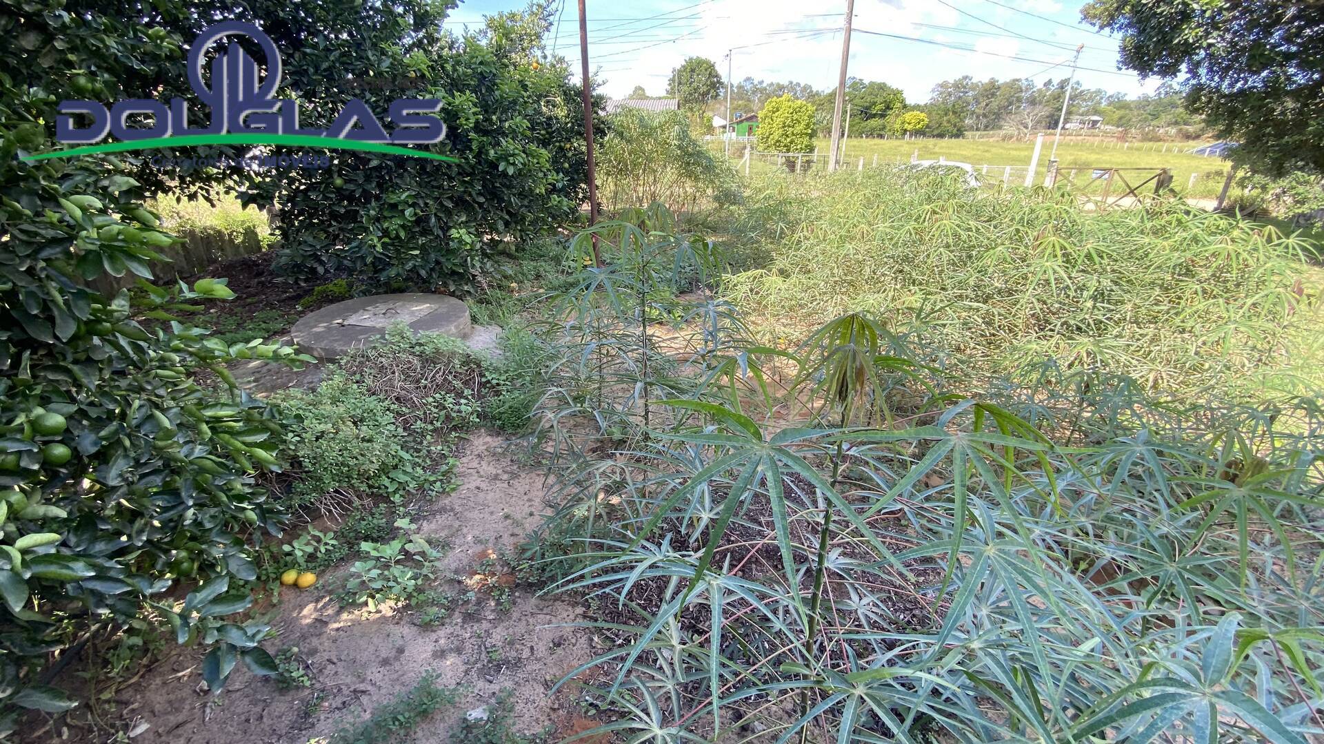 Casa, 2 quartos - Foto 13