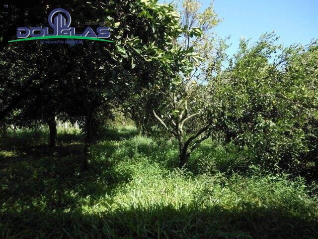 Casa, 1 quarto - Foto 9