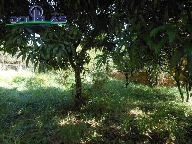 Casa, 1 quarto - Foto 10