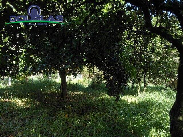 Casa, 1 quarto - Foto 11