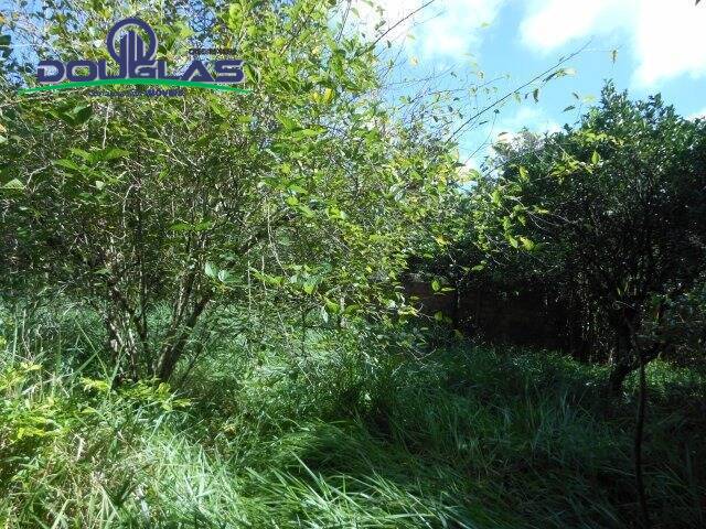 Casa, 1 quarto - Foto 13