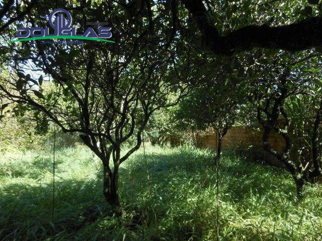 Casa, 1 quarto - Foto 15