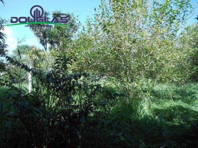 Casa, 1 quarto - Foto 17