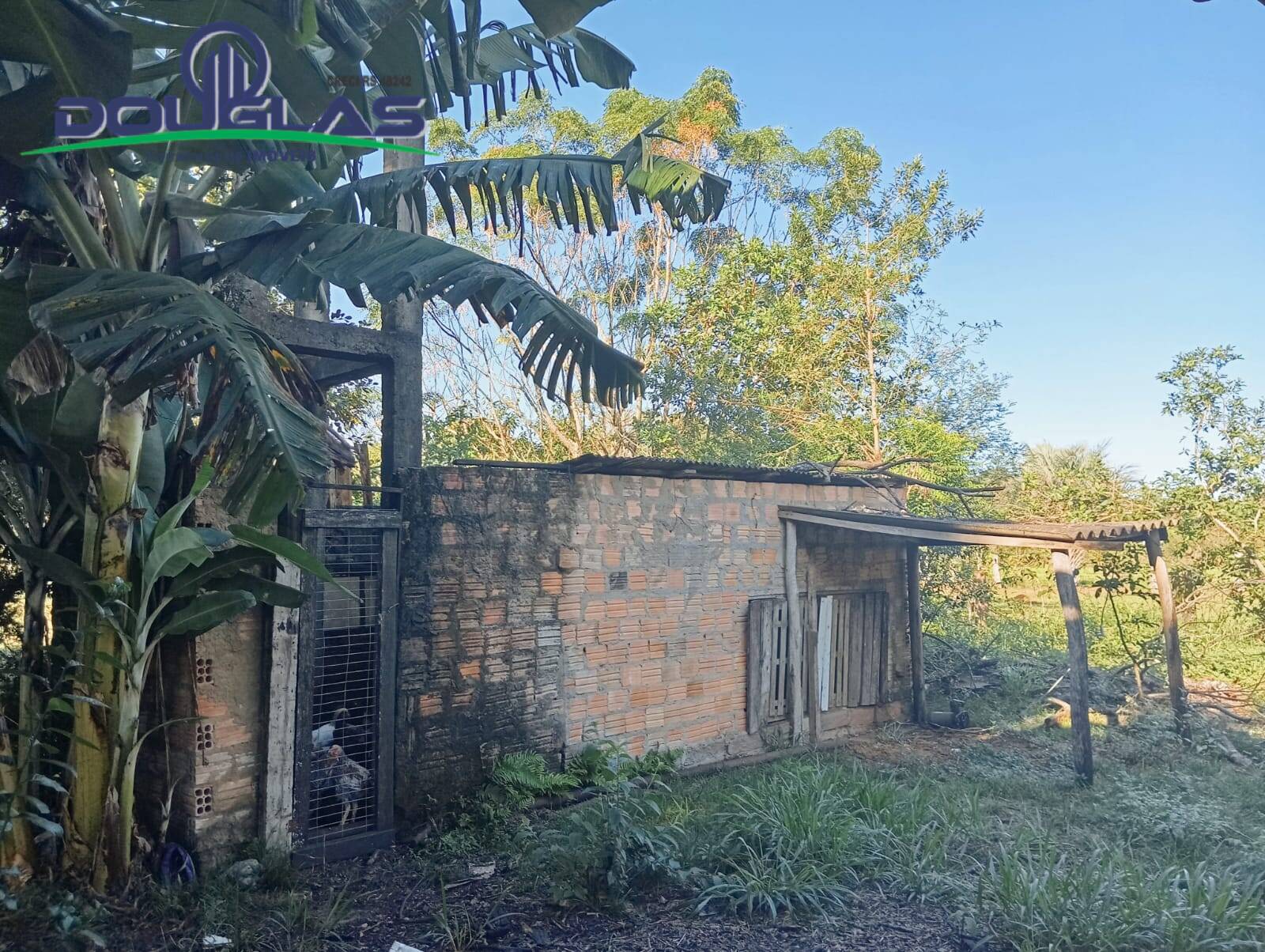 Sítio à venda com 5 quartos, 20000m² - Foto 11