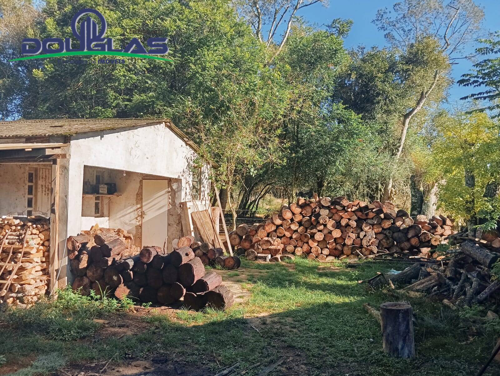 Sítio à venda com 5 quartos, 20000m² - Foto 12